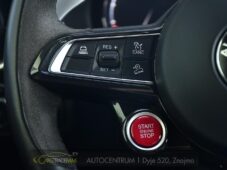 Alfa Romeo Stelvio 2.9V6 Bi-T.382 kW QUADRIFOGLIO - 28