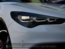 Alfa Romeo Stelvio 2.2D 16V 154kW Veloce AT8-Q4 - 49