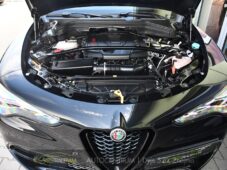 Alfa Romeo Stelvio 2.0T 16V 206kW VELOCE AT8 Q4 - 44
