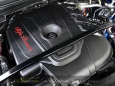 Alfa Romeo Stelvio 2.2 Diesel 16V 154kW VELOCE Q4 - 50
