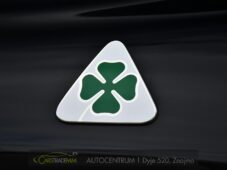 Alfa Romeo Stelvio 2.9V6 Bi-T.382 kW QUADRIFOGLIO - 54