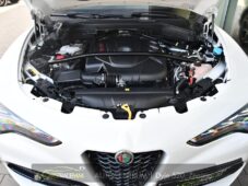Alfa Romeo Stelvio 2.2 Diesel 16V 154kW Veloce Q4 - 42