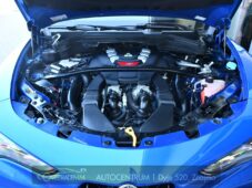 Alfa Romeo Stelvio 2.9V6 Bi-T.382 kW QUADRIFOGLIO - 59